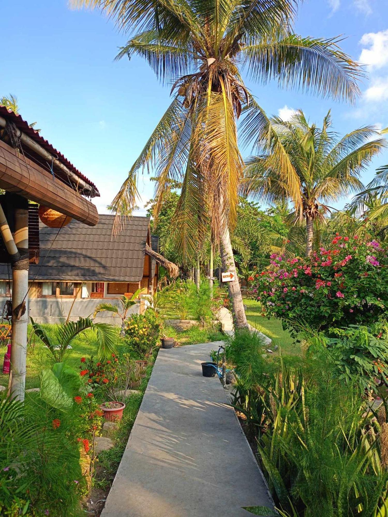 Bintang Tiga Bungalows גילי אייר מראה חיצוני תמונה