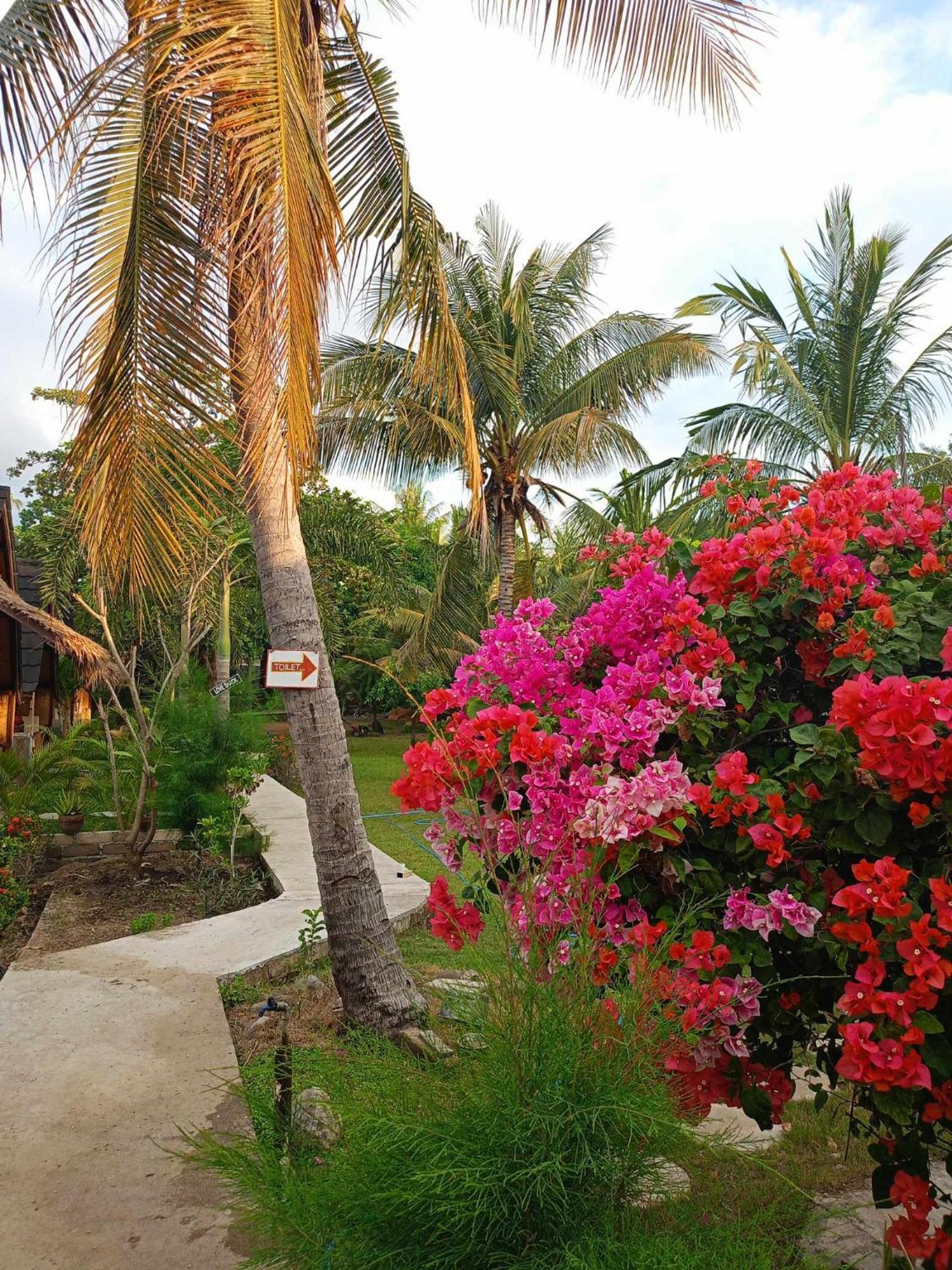 Bintang Tiga Bungalows גילי אייר מראה חיצוני תמונה