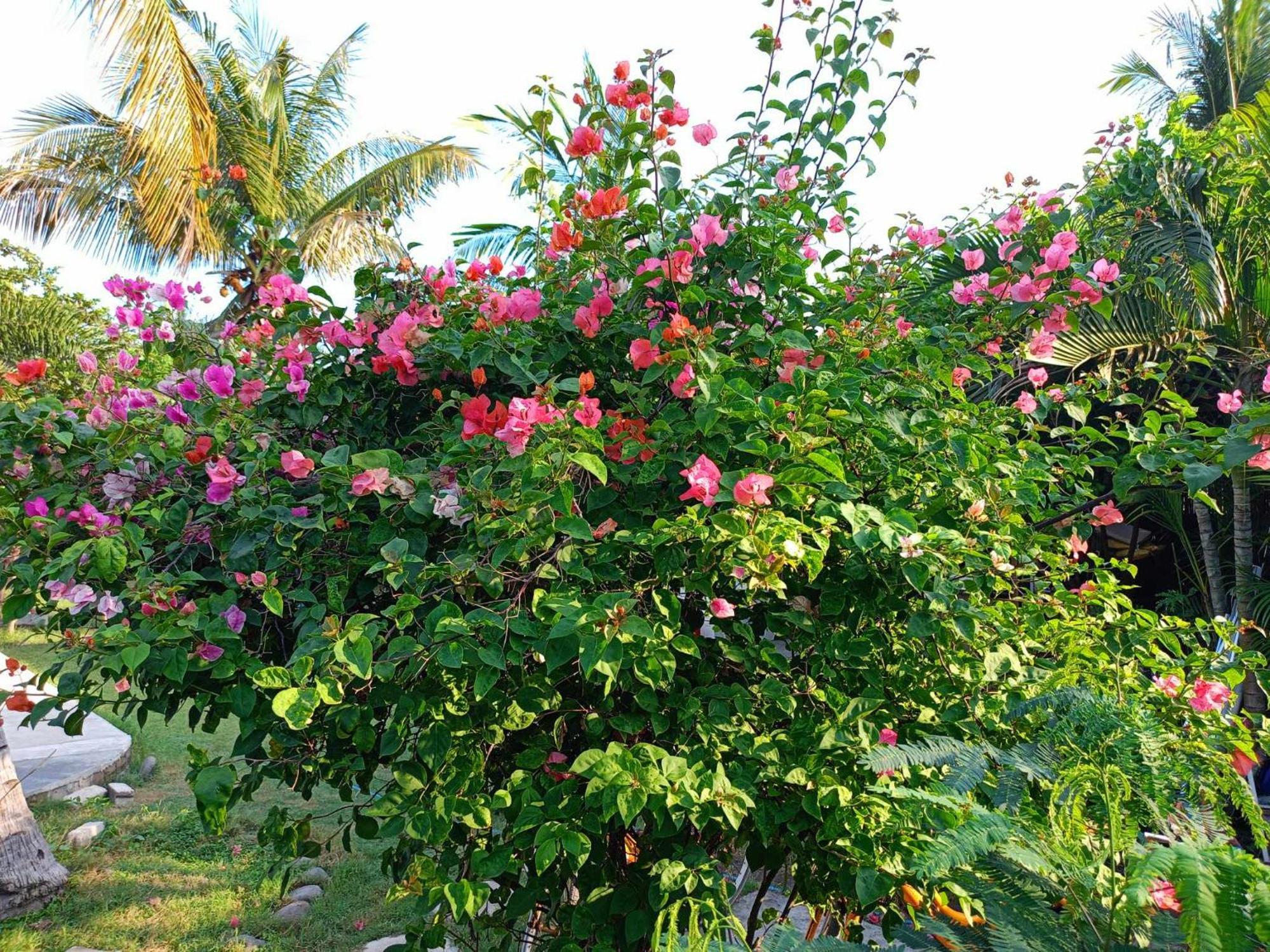 Bintang Tiga Bungalows גילי אייר מראה חיצוני תמונה