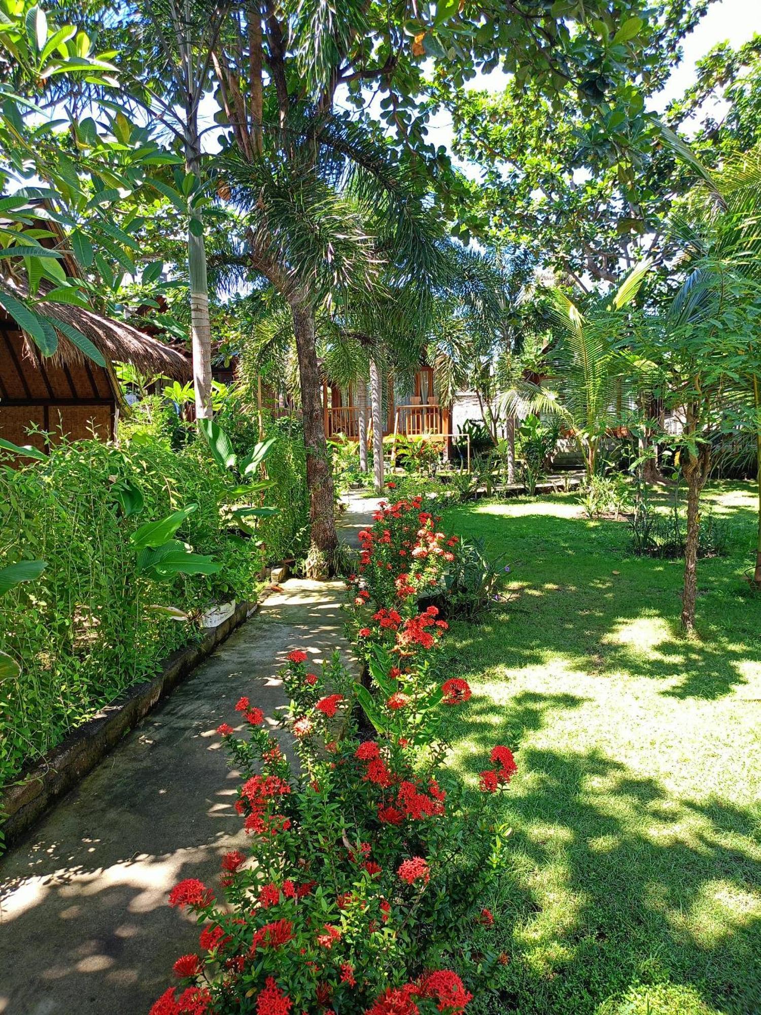 Bintang Tiga Bungalows גילי אייר מראה חיצוני תמונה